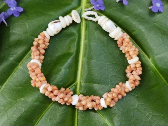 Kahelelani shell Bracelet Sea Shell Bracelet Kauai Shell Jewelry Eco Friendly Natural Shell Bracelet Kauai Kahelelani Shells Hawaiian Shells