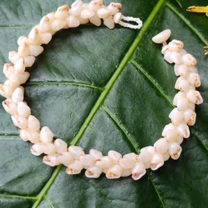 May include: A white shell bracelet with a delicate design. The bracelet is made of small, white shells that are strung together on a thin cord. The shells are arranged in a pattern that resembles a flower.