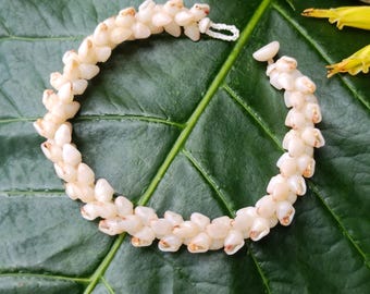Momi Muschel-Armband Momi Kahelelani Muschel-Armband Hawaiischer Muschel-Schmuck Kauai Umweltfreundlich Gesammelte Muscheln Kauai-Muscheln Seltene Muscheln Aloha