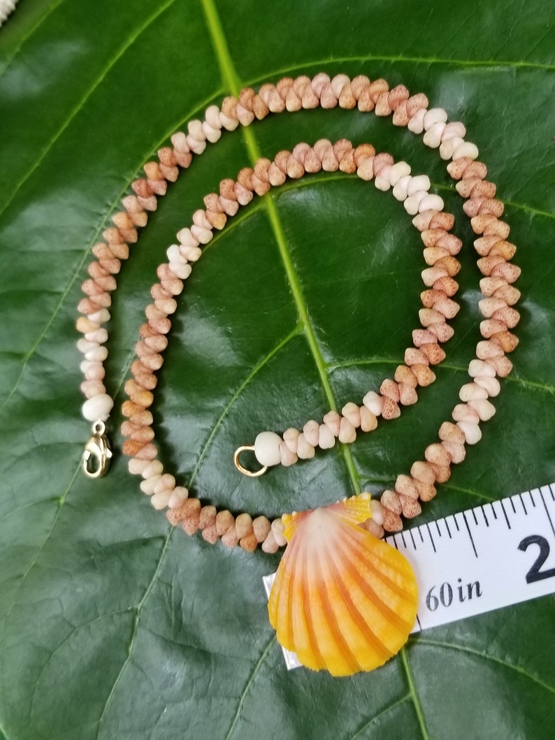 Sunrise Shell Lei Kauai Kahelelani Shell Lei Hawaii Shells Beach Jewelry Eco-Friendly Collected Rare Shells Island Mermaid Sunrise Shell image 2