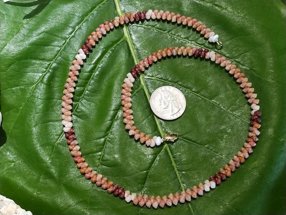 Shell Jewelry Shell Necklace Shell Lei Rare Shells Puka Shell Jewelry Shells Kauai Shell Necklace Hawaii Shell Jewelry Kahelelani Shell Lei