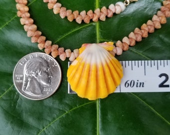 Sunrise Shell Lei Kauai Kahelelani Shell Lei Hawaii Shells Beach Jewelry Eco-Friendly Collected Rare Shells Island Mermaid Sunrise Shell