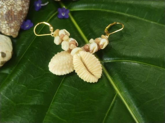 Shell Earrings Kauai Kahelelani Shell Earrings Hawaiian Momi Shell Earrings Momi Shells Kahelelani Shells Kauai Momi Beach Shells Rare Shell