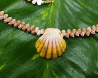 Sunrise Shell Lei: 18.5' inch, Kauai Kahelelani Shells,  14kt Gold Clasp, Langford Pectin Shell,  Kauai Handmade Niihau Shell Necklace