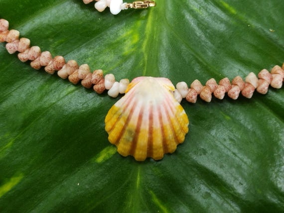 Sunrise Shell Lei: 18.5' inch, Kauai Kahelelani Shells,  14kt Gold Clasp, Langford Pectin Shell,  Kauai Handmade Niihau Shell Necklace