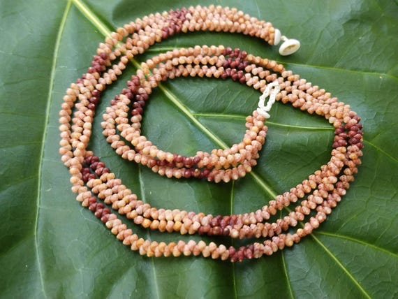 Shell Jewelry Shell Necklace Shell Lei Rare Shells Puka Shell Jewelry Shells Kauai Shell Necklace Hawaii Shell Jewelry Kahelelani Shell Lei