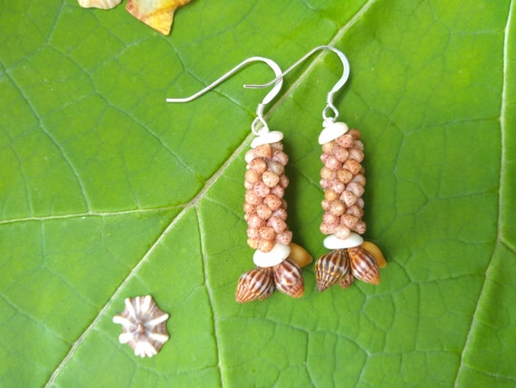 Kahalelani Shell Earrings Kauai Shell Earrings Rare Shells Earrings High Quality Kauai Niihau Shell Earrings Kauai Niihau Shell Jewelry