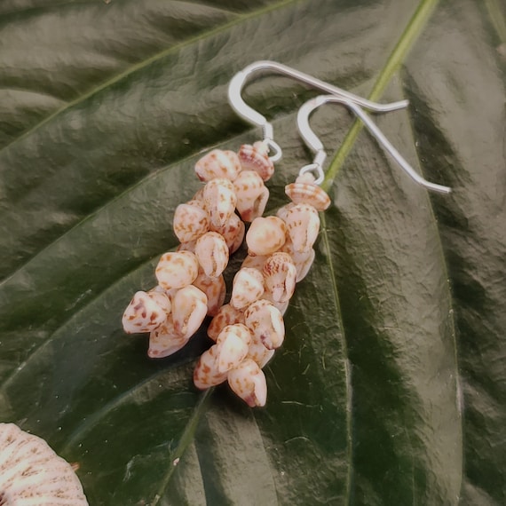 Shell Earrings Kauai Shell Earrings Hawaiian Shell Earring Momi Shells Kahelelani Shells Kauai Beach Shell Hawaii Shell Kauai Ni'ihau Shell