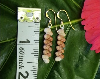 Kahelelani Shell Earrings: 14kt Gold Filled, Giant Shells, Hawaiian Shell Jewelry, Kauai Eco Friendly ,Island Jewelry, Beach Earrings