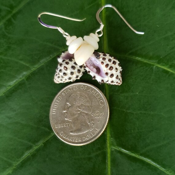 Drupe Shell Earrings Hawaiian Style Jewelry Eco Friendly Collected Hawaiian Grape Drupe Shells Kauai Mermaids Puka Shell Jewelry Puka Shell