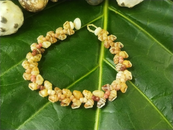 Momi Shell Bracelet Momi Kahelelani Shell Bracelet Hawaiian Shell Jewelry Kauai Eco-Friendly Collected Shells Kauai Shells Rare Shells Aloha