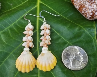 Sunrise Shell Earrings Kauai Kahelelani Shell Earrings Momi Shell Earrings Momi Shells Kahelelani Shells Kauai Momi Beach Shells Rare Shell