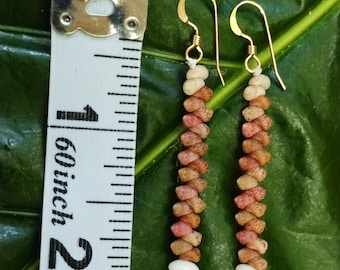 Kahelelani Shell Earrings: 14kt Gold Filled, Hawaiian Shell Jewelry, Kauai Eco Friendly ,Island Jewelry, Beach Earrings