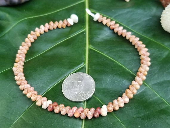 Kahelelani Shell Anklet Kahelelani Shells Beach Anklet Hawaii Shell Anklet Shell Jewelry Hawaii Kahelelani Shell Niihau Shell Kauai Shell