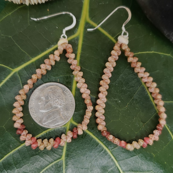 Shell Earrings Kauai Beach Earrings Rare Shells Hoop Earrings Authentic Kauai Kahalelani Shells Jewelry-Eco Freindly Collected Hoop Earrings