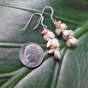 Momi Shell Earrings Kauai Shell Earrings Hawaiian Shell Earrings Heleconia Traditional Pikake Weave Rare Momi Kahelelani Shells Kauai Momi