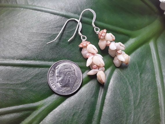 Momi Shell Earrings Kauai Shell Earrings Hawaiian Shell Earrings Heleconia Traditional Pikake Weave Rare Momi Kahelelani Shells Kauai Momi