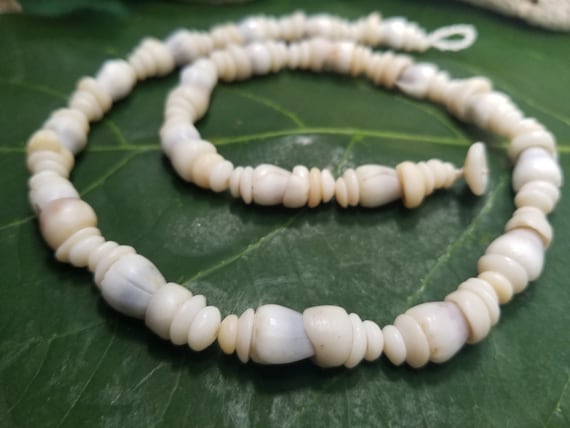 Puka Shell Necklace Puka Shell Lei Kauai Puka Shell Jewelry Rare Shells Kauai Made Hawaiian Style Gathered Eco Freindly Collected Shells