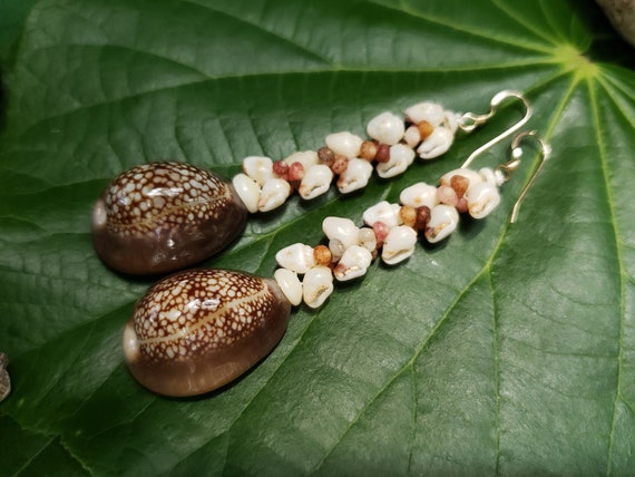 Shell Earrings Kauai Kahelelani Shell Earrings Hawaiian Momi Shell Earrings Momi Shells Kahelelani Shells Kauai Momi Beach Shells Rare Shell
