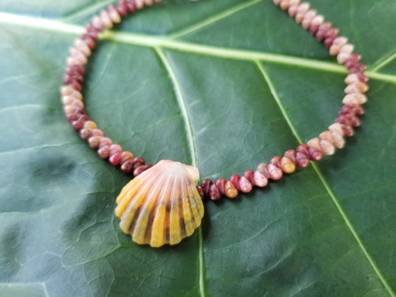Sunrise Shell Bracelet Shell Bracelet Puka Shell Jewelry Natural Shell Bracelet Kahelelani Shell Jewelry Kauai Sunrise Shells Sunrise Shell