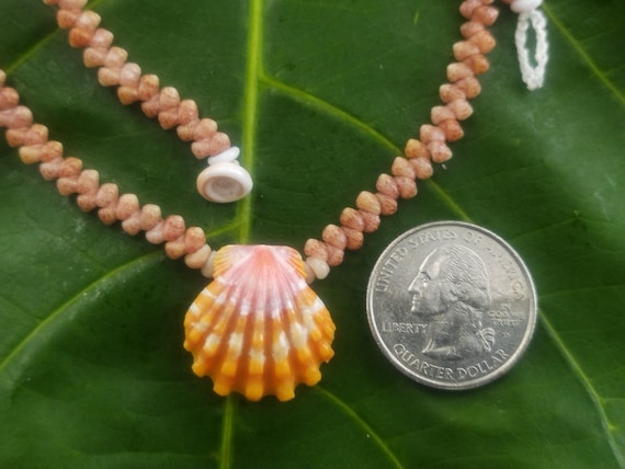 Sunrise Shell Lei: Kauai Kahelelani Shells, Sunrise Shell, Puka Shells, Hawaii Shells Beach Jewelry, Eco-Friendly Collected Rare Shells