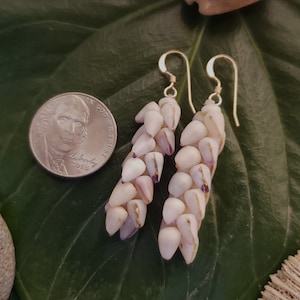 Puka Shell Earrings Hawaiian Endemic Dwarf Cone Shells Eco Friendly Handmade On Kauai Mermaids Earrings Shell Jewelry Puka Shell Earrings