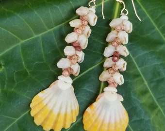 Sunrise Shell Earrings Kahelelani Shell Earrings Hawaiian Momi Shell Earrings Momi Shell Kahelelani Shells Kauai Momi Beach Langford Pectin