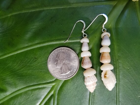 Shell Earrings Puka Shell Earrings Hawaii Shell Jewelry Kauai Shells Eco Friendly Collected Shells Kauai Shells Island Jewelry Rare Shells