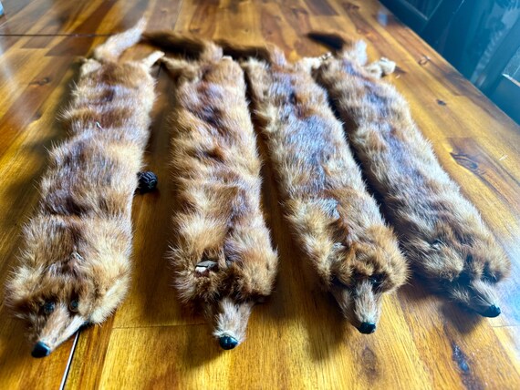 Vintage Mink Pelts