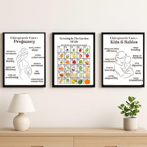 Op de afbeelding: Drie ingelijste prints met zwarte randen worden tentoongesteld op een houten kast. De prints bevatten tekst en lijntekeningen met betrekking tot chiropractische zorg voor zwangerschap en baby's, en een kleurrijke fruitkaart. Een lamp en een plant in pot staan ook op de kast.
