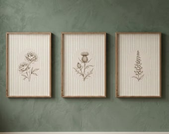 Set of 3 Botanical Wall Art Prints Vintage Floral Poster Neutral Home Decor Living Room Gallery Wall Unframed Art Print Gift For Her