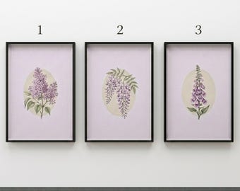 Set of 3 Purple Botanical Wall Art Prints Vintage Floral Poster Lavender Home Decor Bedroom Wall Art Unframed Art Print Gift For Her