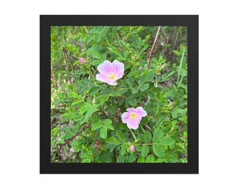Framed Desert Wildflower Wall Art | Purple Bloom Photography Print | Botanical Nature Home Decor