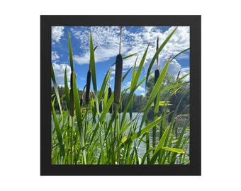 Framed Green Meadow Grass Wall Art | Botanical Landscape Photography Print | Tranquil Nature Decor