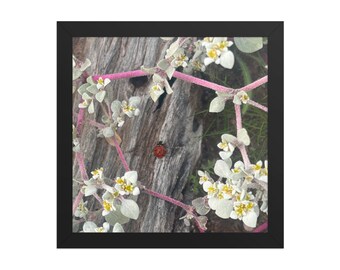 Framed Spring Blossoms Wall Art | Textured Botanical Photography Print | Floral Nature Decor