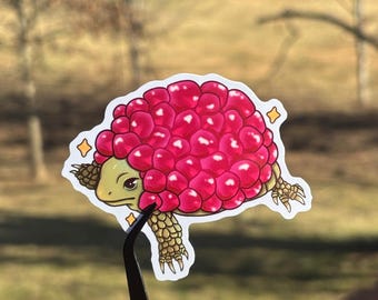 Raspberry Shell Turtle Vinyl Sticker | 3" Sticker | Cute Berry Turtle