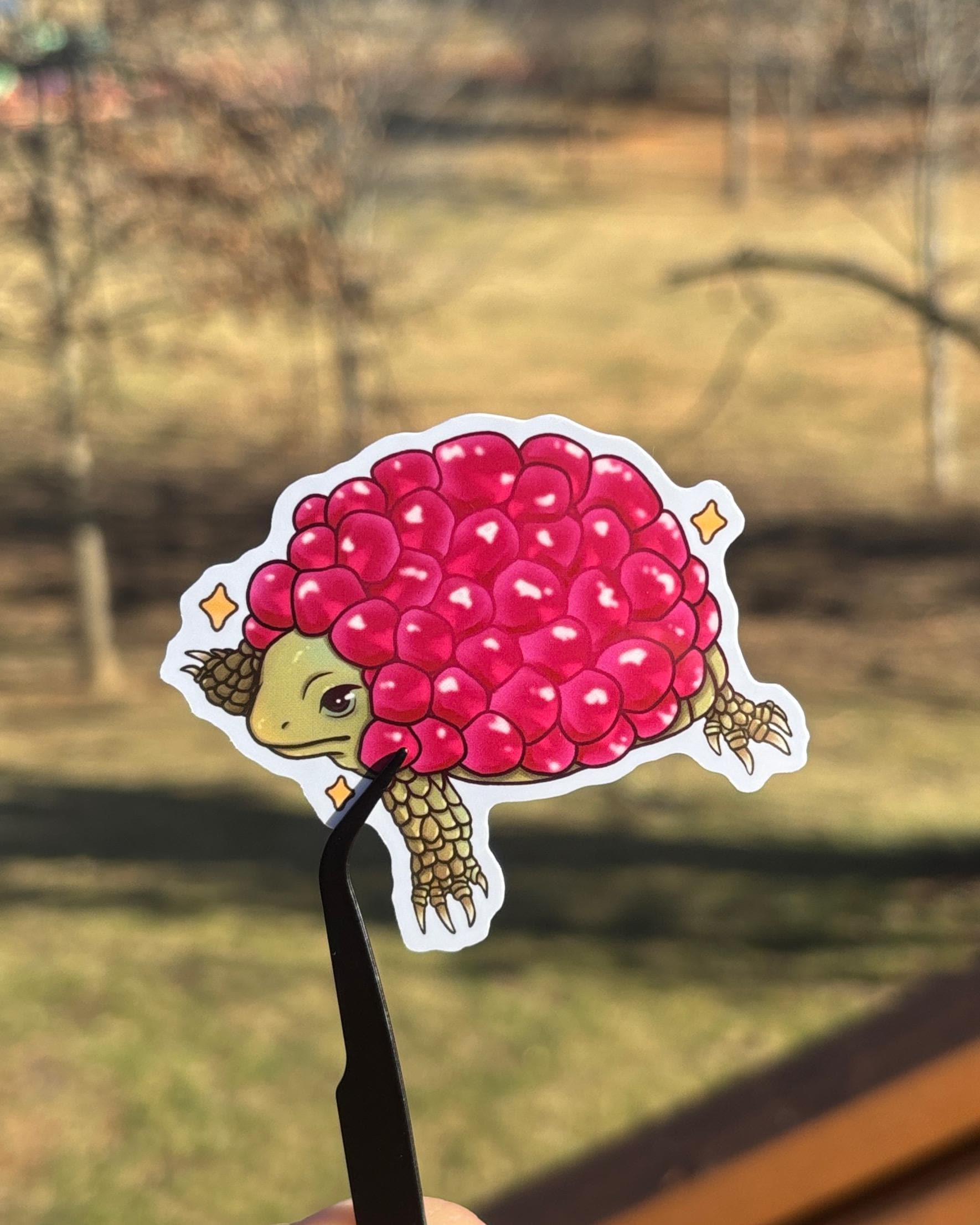 Turtle W Raspberry Raspberry Shell Turtle Vinyl Sticker | 3