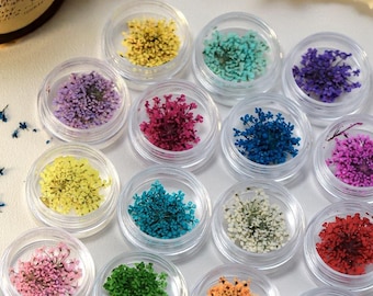 Decorazione per unghie con fiori secchi in stile giapponese, 10 pezzi, stelle floreali