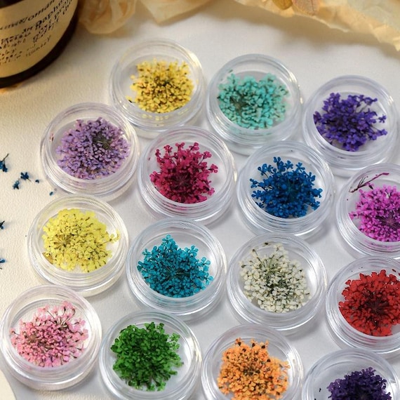 Japanese-style 10pcs Dry Flower Nail Decoration Floral Stars Nail Art