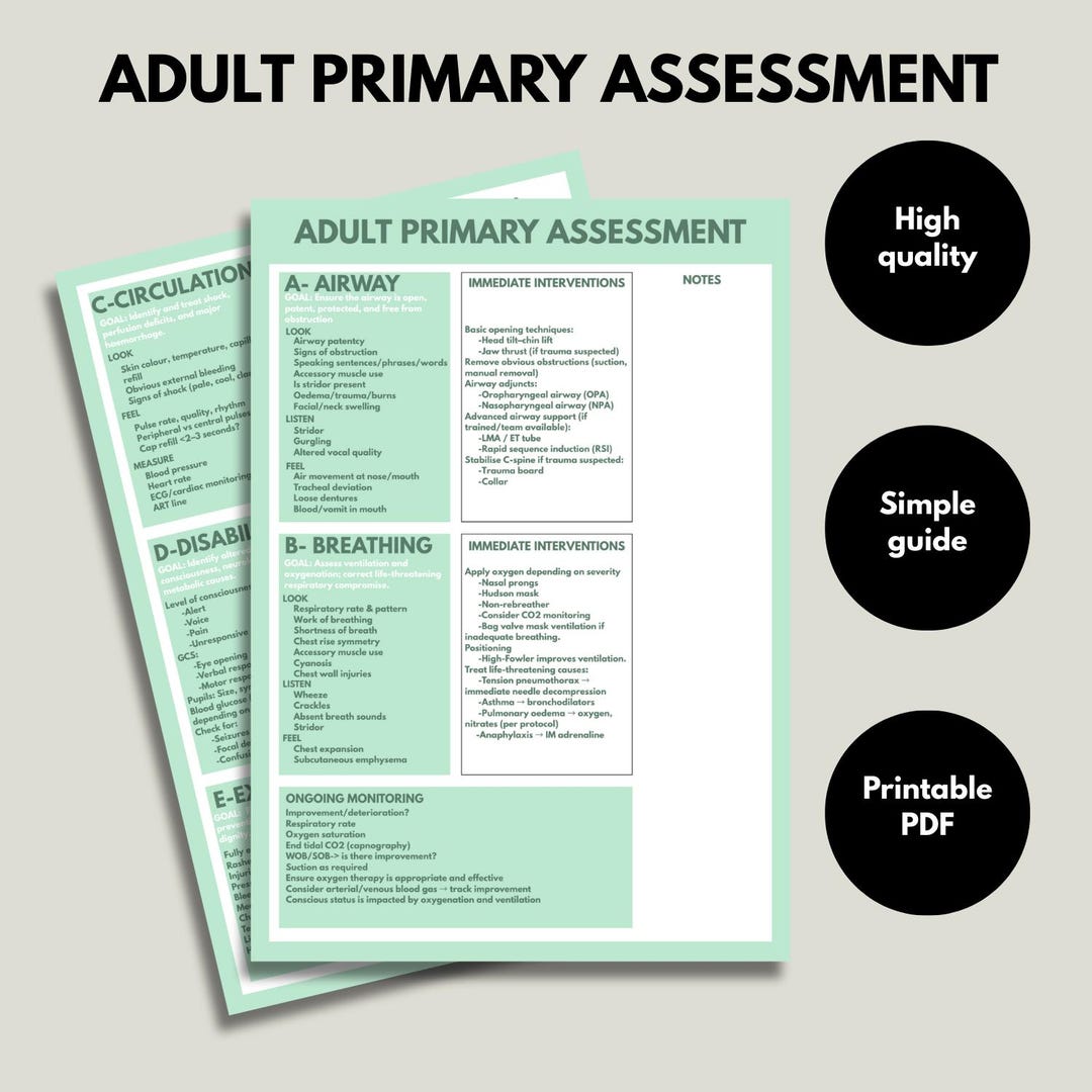 Adult Nursing Primary Assessment Guide (ABCDE) - Etsy