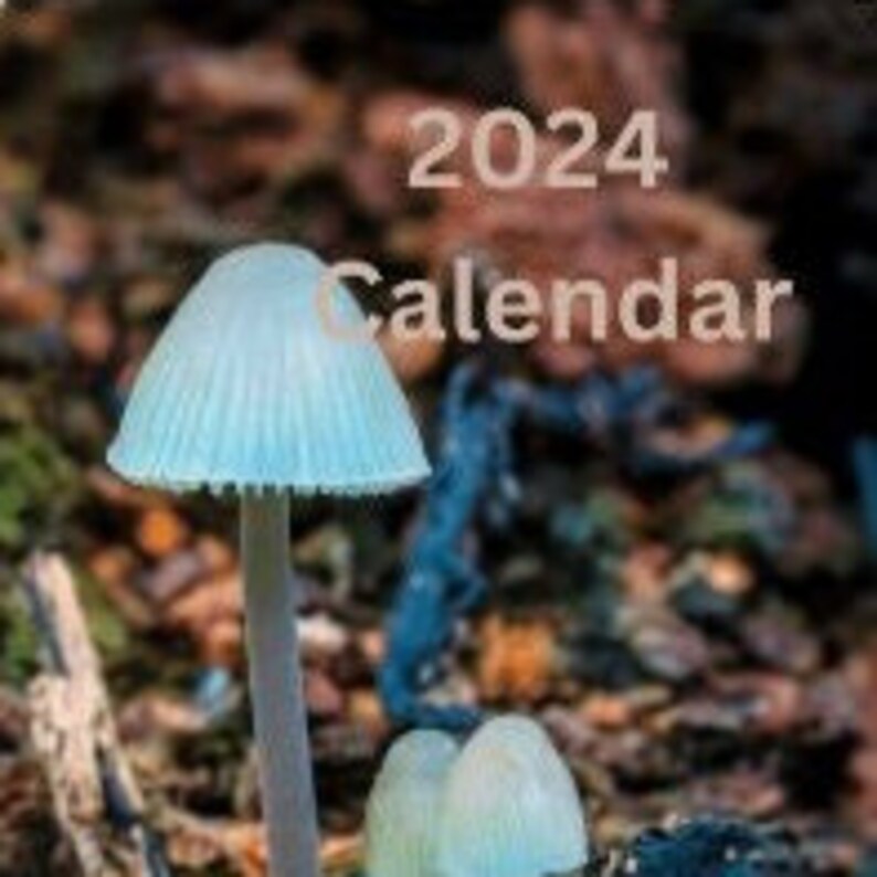 A4 Printable 2024 Calendar Beautiful Fungi Inspired, 12 Months of