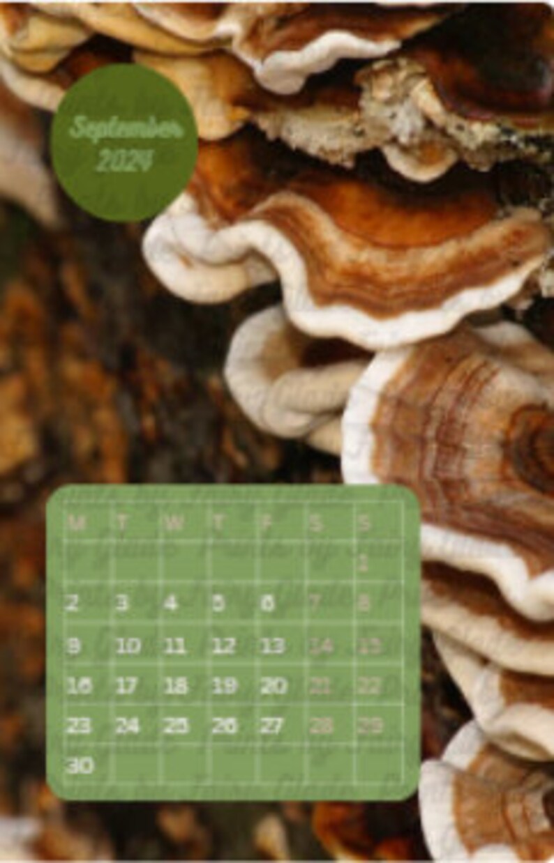 A4 Printable 2024 Calendar Beautiful Fungi Inspired, 12 Months of
