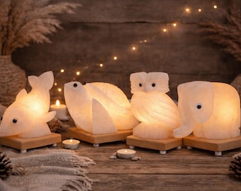 Lámparas de sal del Himalaya con forma de animales: delfín, tortuga, búho y elefante.