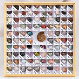 97-Piece Natural Stone Mineral Collection, Ammonite Fossil Centerpiece, Framed Geology Display