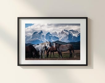 Patagonia Photo Poster: Wild horses in Torres del Paine, Chile I Fine Art Print