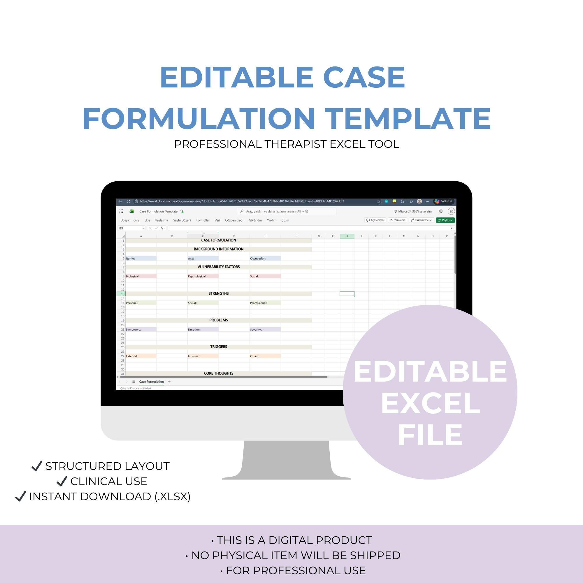 Editable Case Formulation Template | Excel Therapy Workbook | Clinical ...