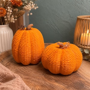 Könnte beinhalten: Zwei leuchtend orangefarbene Zierkürbisse mit einer detaillierten, strukturierten, gewebeartigen Oberfläche. Jeder Kürbis ist mit einem kleinen, realistischen braunen Stiel und einem dünnen, geringelten Ranken-Akzent versehen.