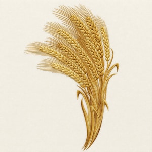 Puede incluir: Un diseño de bordado que presenta un racimo de tallos de trigo dorados con granos texturizados detallados y tallos largos y delgados. El trigo está realizado en tonos de hilo amarillo y dorado, dispuesto en abanico sobre un fondo crema.