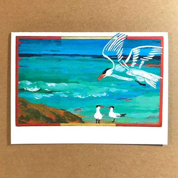 1 Caspian Terns Card