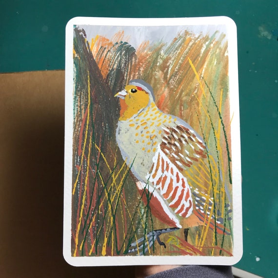 Gray Partridge ~ Postcard Painting #14 ~ Ready to Ship!